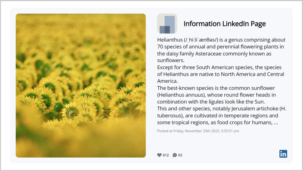 LinkedIn Widget Yodeck Example