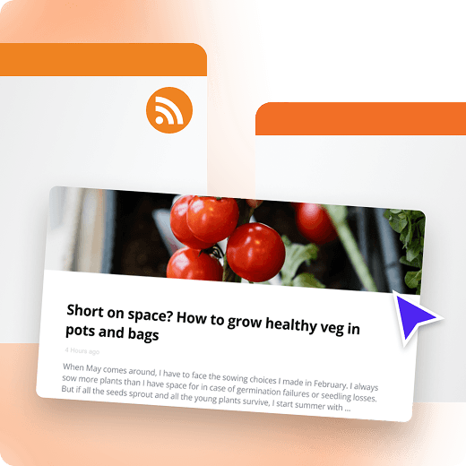 Custom RSS App