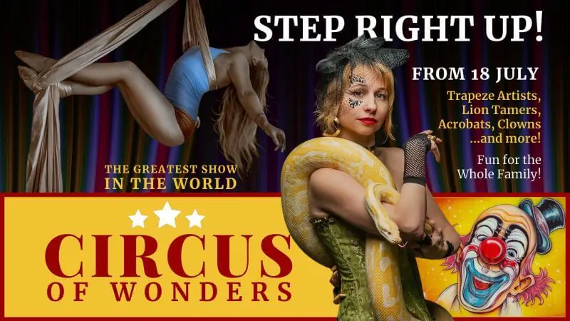 Events | Circus Show